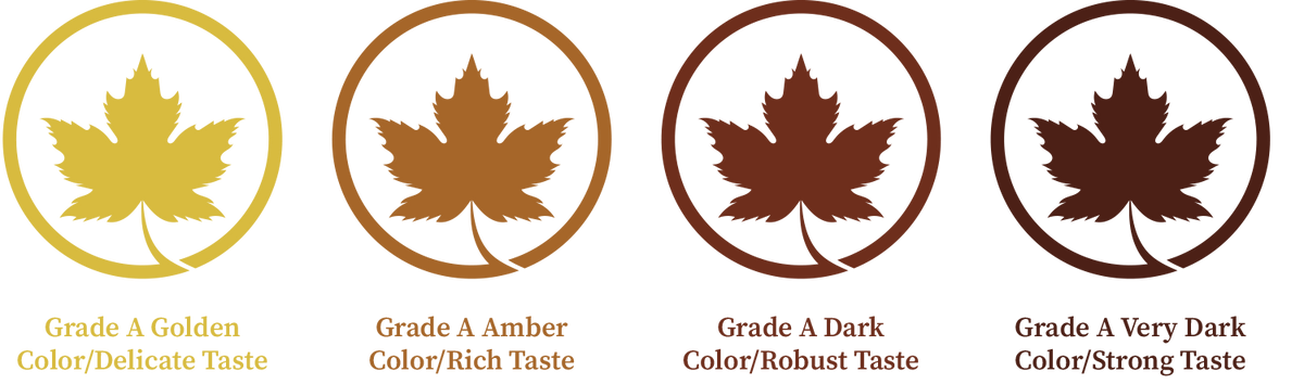 Maple Syrup Grading System Vermont Maple Syrup Grades – Mom and Pops Maple